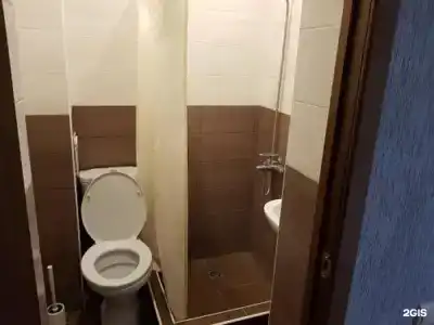 Цитрус 1 - 8