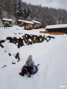 Добрый Дом - 79