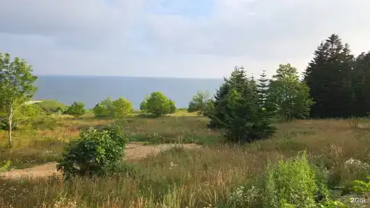 Юнона море - 31