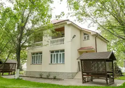 Дельфин - 3