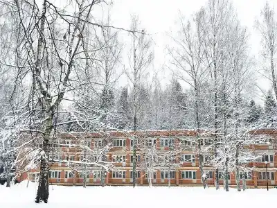 Пушкиногорье - 1