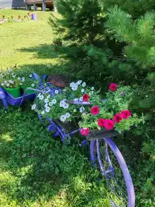 Усадьба АртСвет - 41