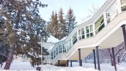 Сосновый бор - 34