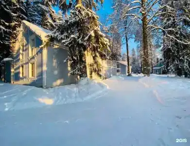 Vyritsa Village - 34