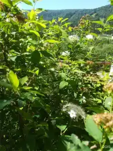 На Туманной - 36