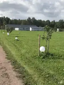 Хутор Барышево - 112