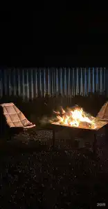 Пичуги - 2