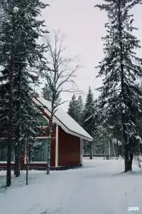 Лесная - 50