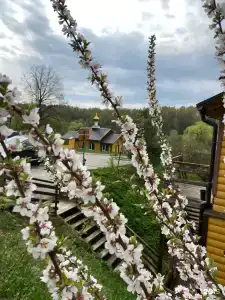 Ферма Подворье Лукино - 34