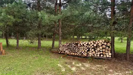Домики в лесу - 42
