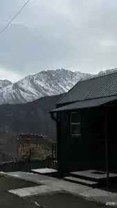 Chilli bros camp - 17