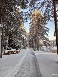 Дома на Сайме - 23