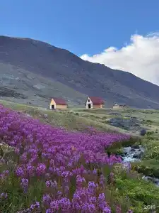 Сулук - 4