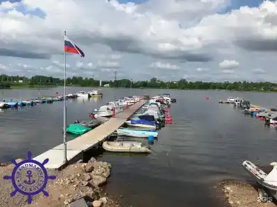 Сайма - 43