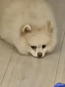 Дом с баней ОранжХаус - 34