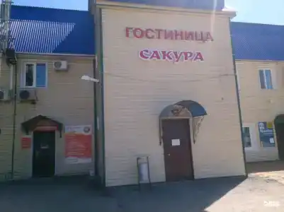 Сакура - 14