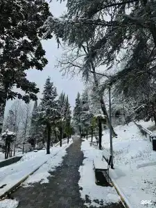 Магадан - 11