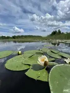 Дом с видом на озеро рядом с Ладожскими шхерами - 26