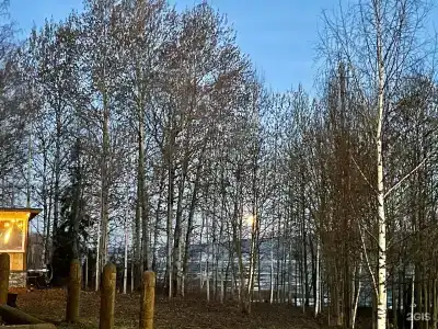 Поляна - 79