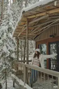 We Lodge - 63