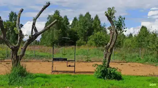 В гостях у зайца - 12