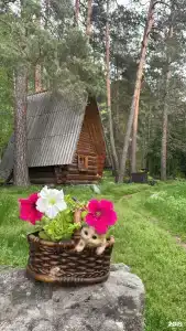Иванова дача - 0