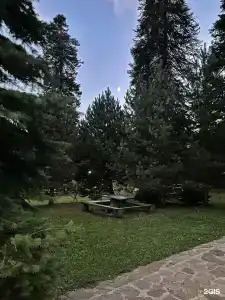 Банковская дача - 12