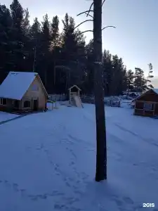 Кедровый - 0
