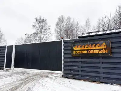 Восемь обезьян - 88