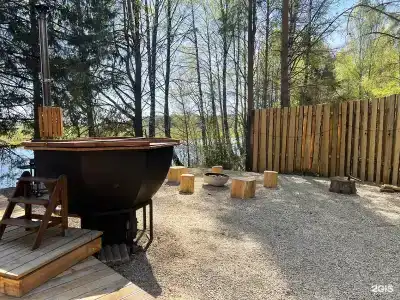 Кедр Глэмп - 60