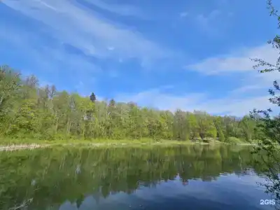 Шишкино-парк - 20