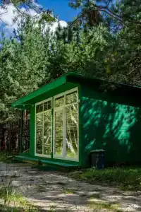 Глэмпинг Эко-отель Forest - 20