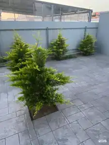 Инфинити Хаус - 23