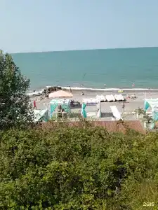 Оазис на Молодежной - 23