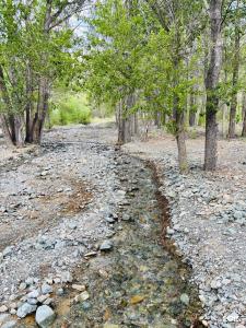 Софийская поляна - 19