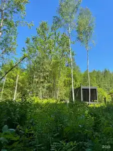 Архангельские дачи - 37