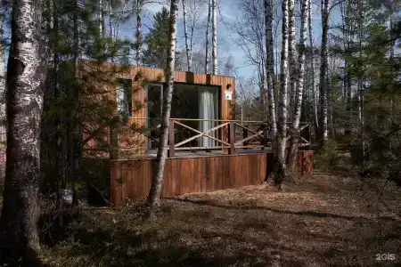 Снежные гуси - 22