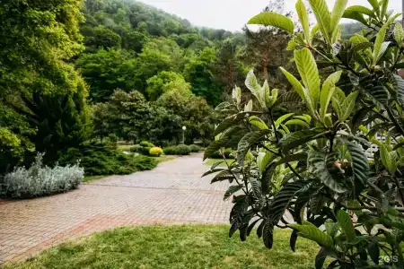 Saltykov Agoy Resort - 32