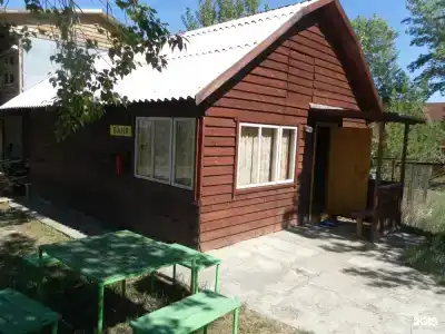 Василёк - 43