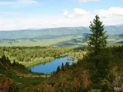 Уймонская Жемчужина - 28