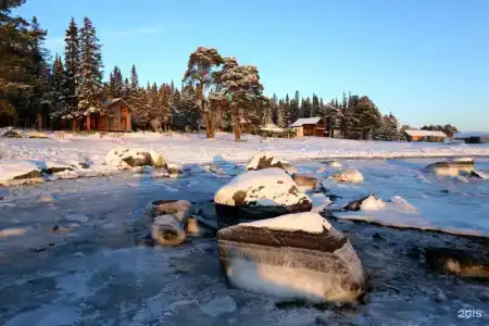 Кедр Грасс Белое Море - 70