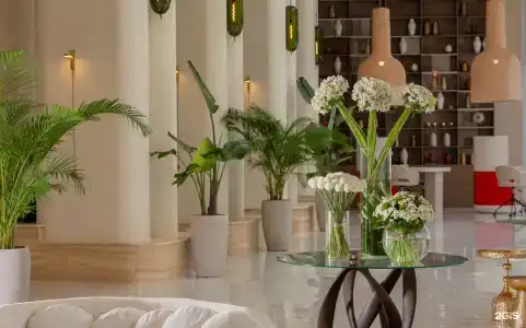 Funf Luxury Resort&SPA Anapa Miracleon - 34