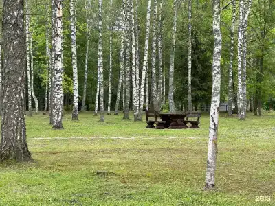 Углич - 77
