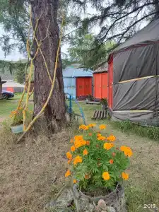 Байкальский лучик - 14