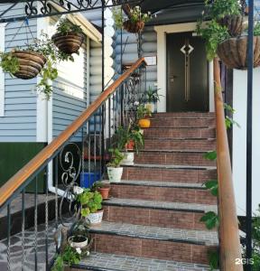 Ясная поляна - 29