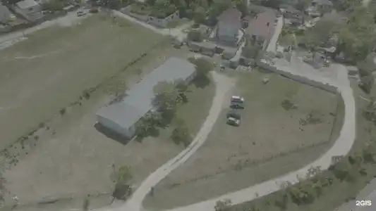 Кедр - 33