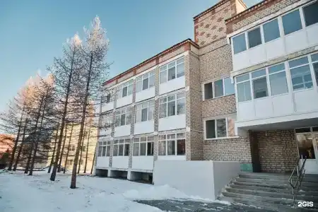 Березки - 61