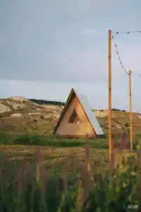 Альфа - 21