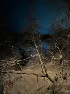 Вудхаус - 9