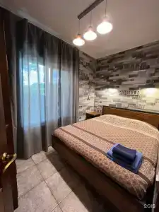Кипарис - 44